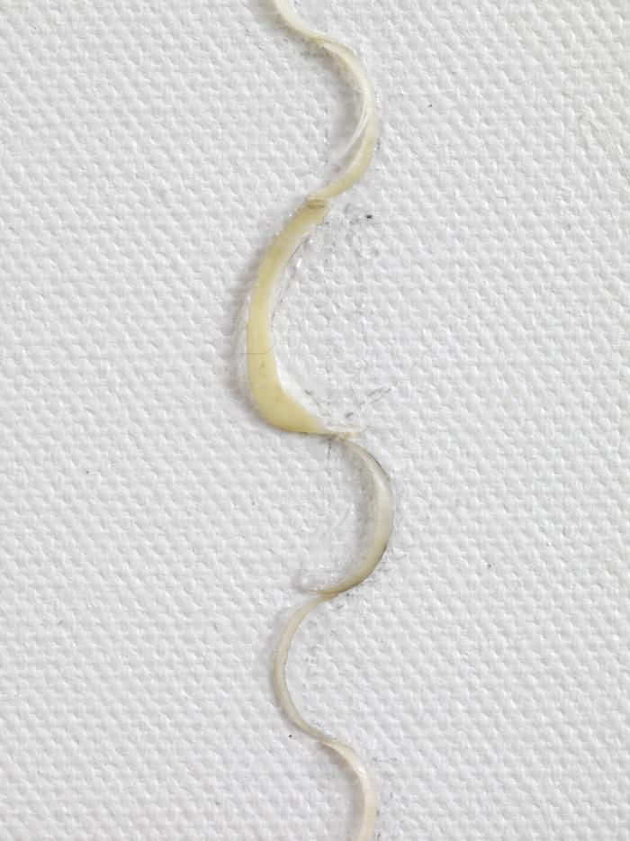 Finabldwei_HaW_Det_Aus_na_3000h