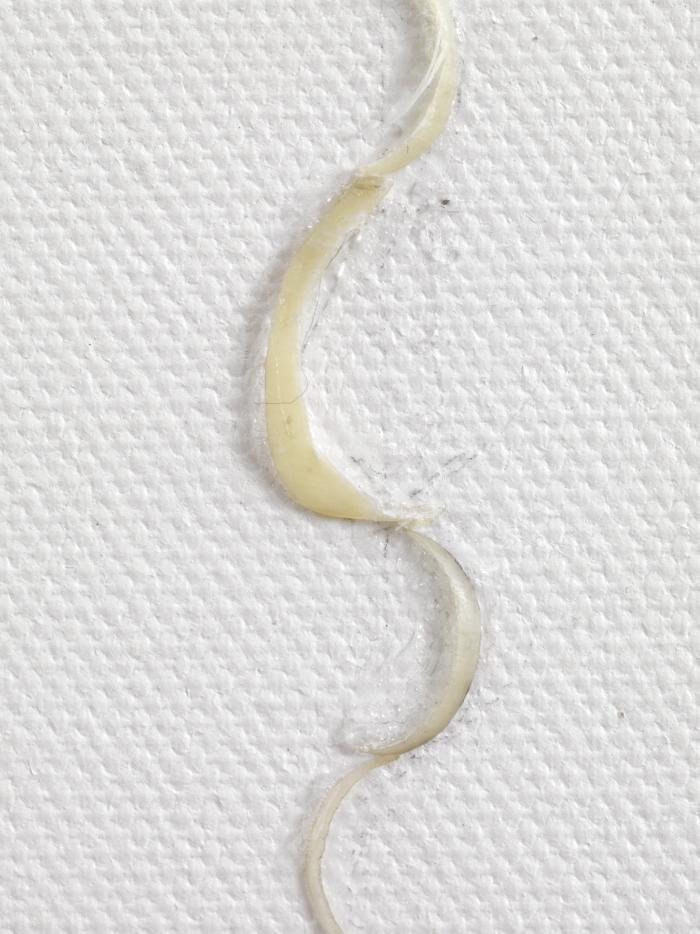 Finabldwei_HaW_Det_Aus_sena_3000h