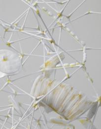 Atom_Lie_Det_Aus_3000h