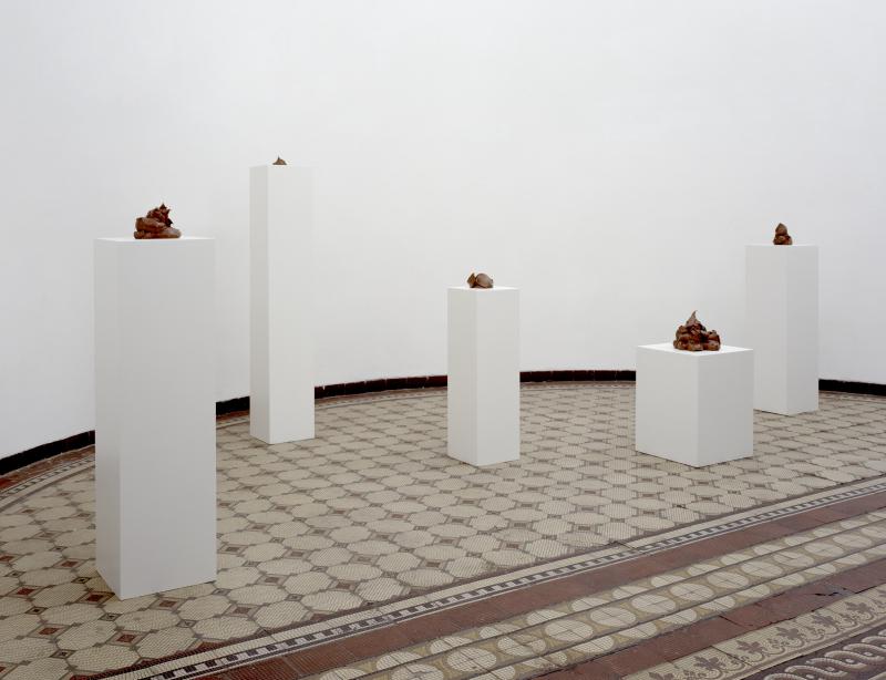 Nus5So_MODo_Ha1_3000b