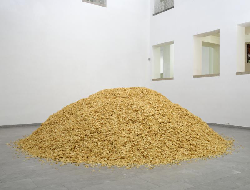 Chips_MODo_Ha1_Ra_3000b