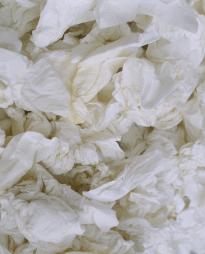 Tmphau_Lie_Det_Aus_3000h