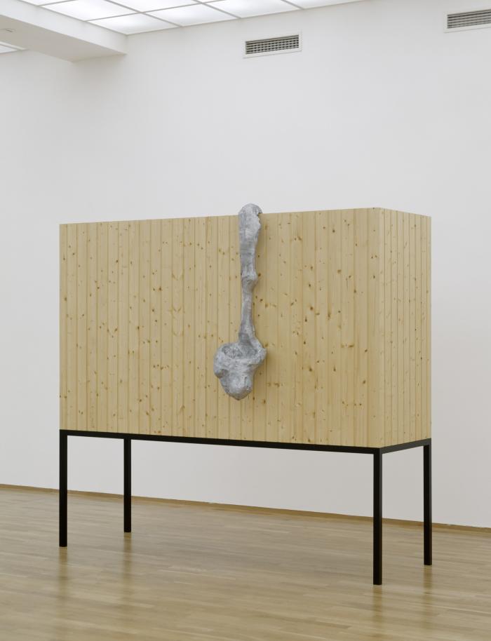 TaAnSau_HbBhf_Ha1_3000b