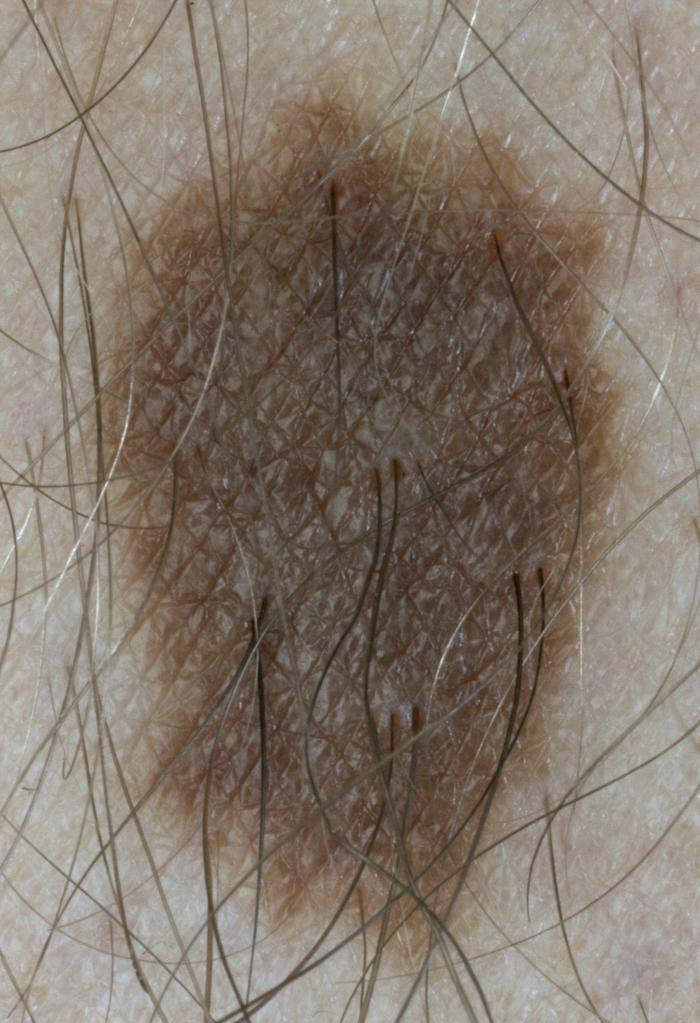 Leb_SJH_Ha1_Rep_3000h