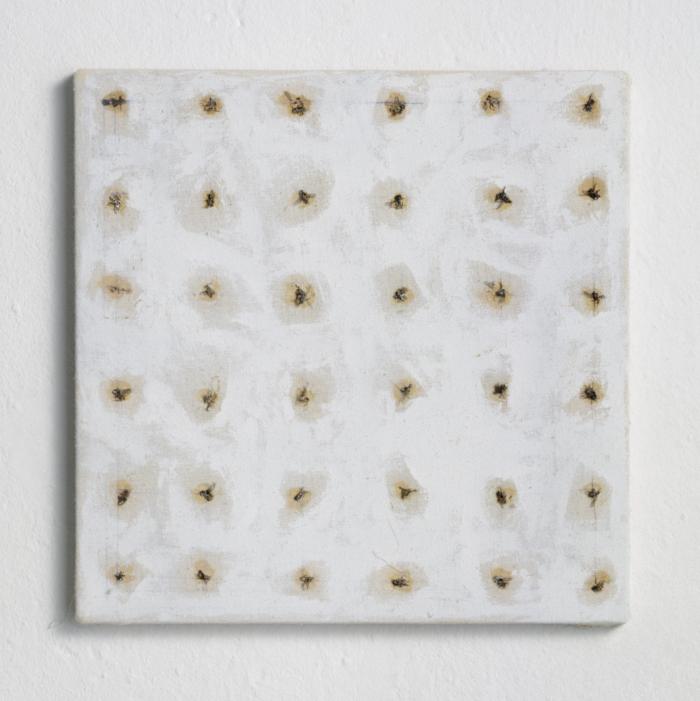 Flie_SJH_Ha1_Rep_vW_2400h