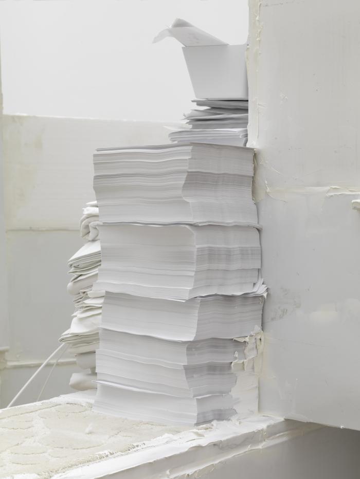 MuBo_KmBn_Det_Papsta_3000h