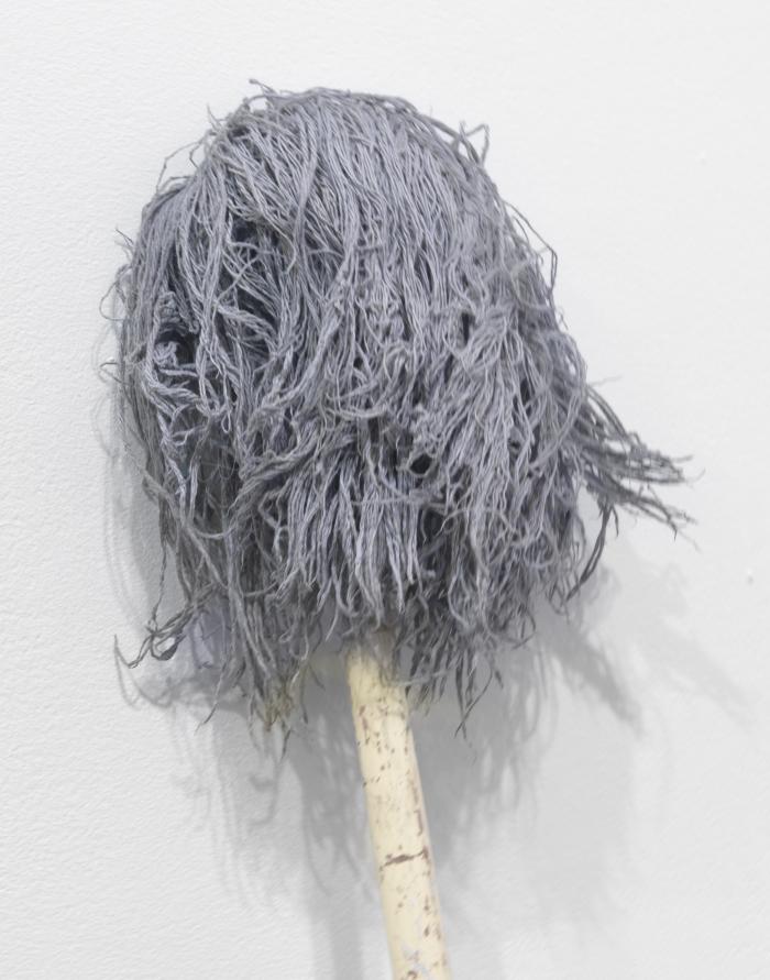 Mop_PicPth_Det_Mopob_3000