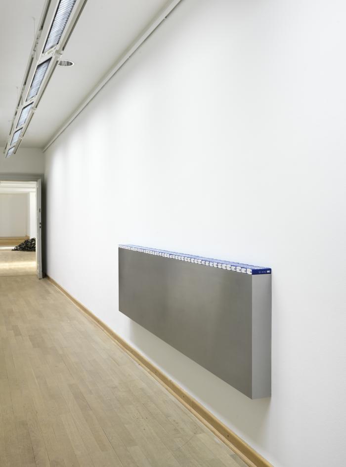 Tponeu_StdGalWo_Wa_Ra_vschrgre_3000h