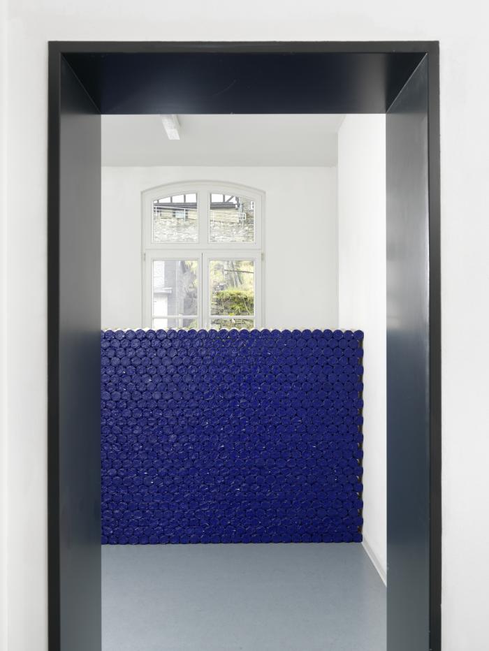 PrzroMo_KukMo_Det_BliduTueetweiwg_3000h