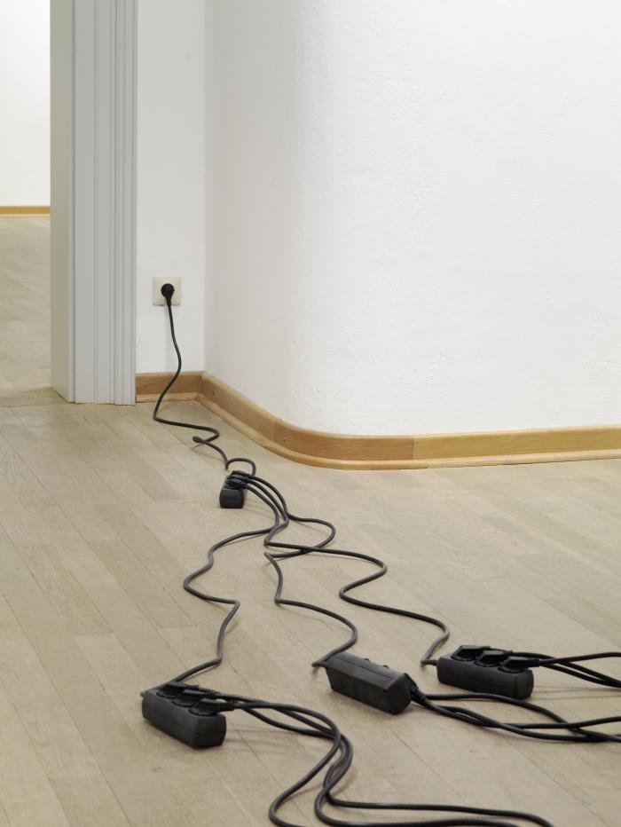 Steckschwa_StdGalWo_Det_Afg_3000h