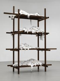 Stareg_HDLU_Ha1_vlschrglina_3000h