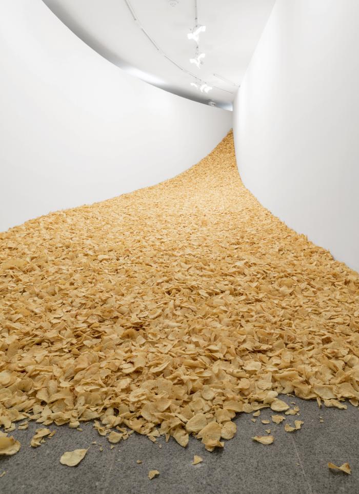 ChiCRU_CCBBBras_Det_Aus_veragschnmBo_3000h