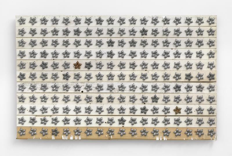 Sterbld_Lie_Ha1_Rep_vW_3000b