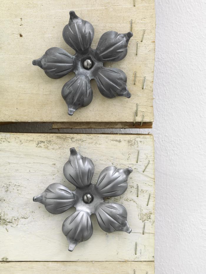 Sterbld_Lie_Det_2Ster_3000h