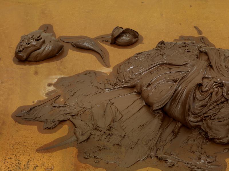 A15StdGalDel_HosRIV_StdGalDel_Det_Aus_Gestm2StaplaNut_na_3000b