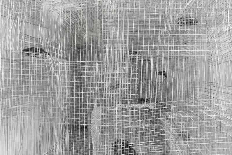 PPP_KvR_Det_Aus_Koseifrtl_3000b