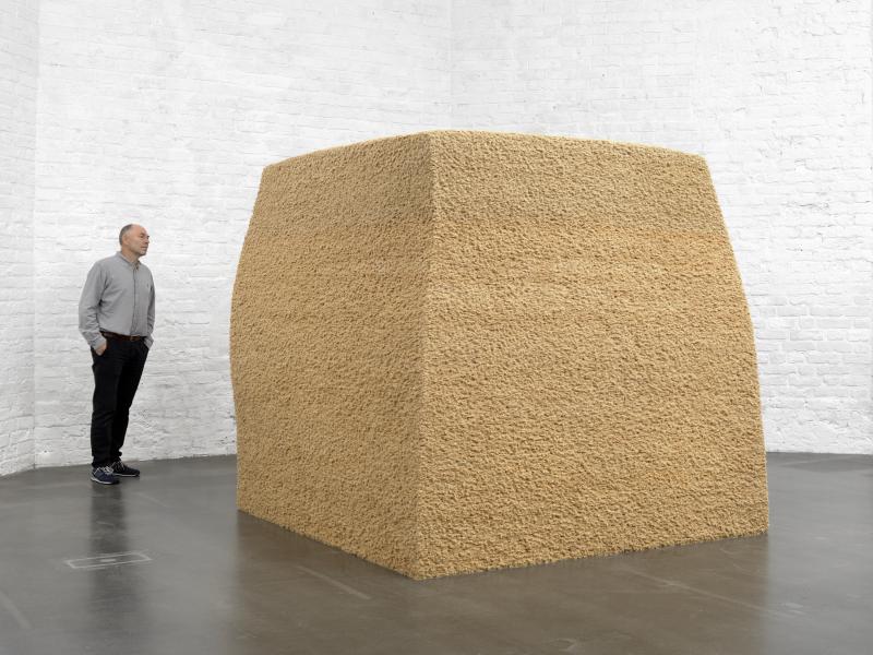 Steicu_KhStA_Ha1_mmnlPrs_3000b