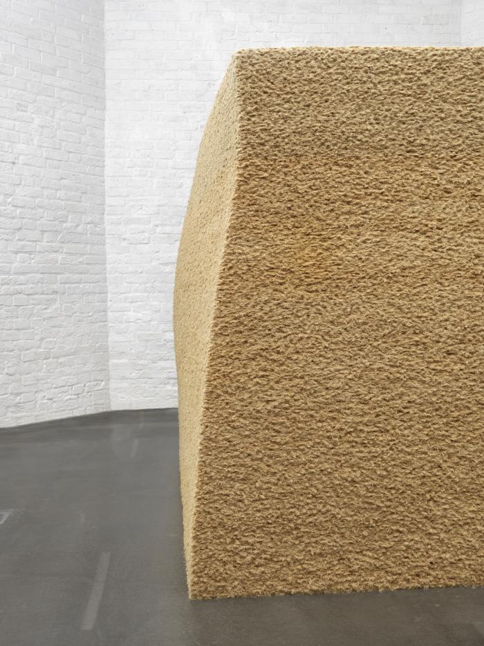 Steicu_KhStA_Det_gschwuKauSeili_3000h