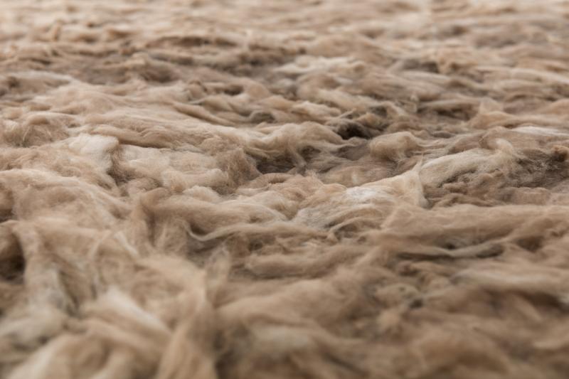 TeMo_RMIT_Det_Aus_Obseivschrg_3000b