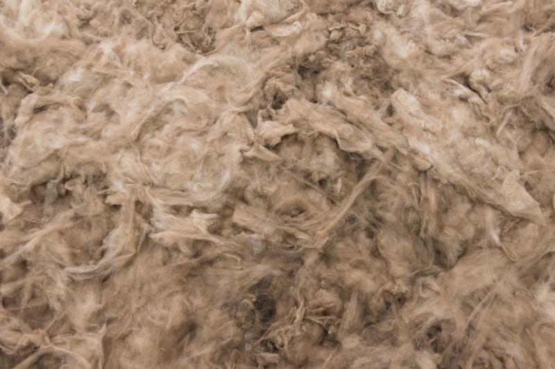 TeMo_RMIT_Det_Aus_Obseifrtl_3000b