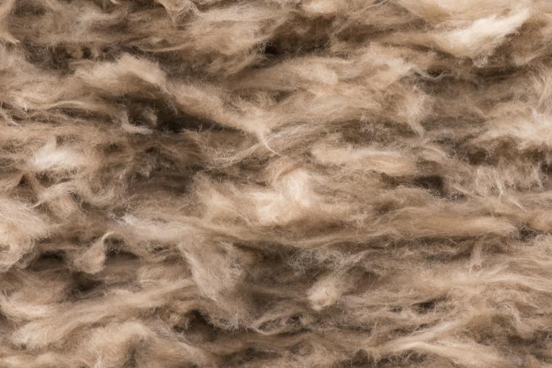 TeMo_RMIT_Det_Aus_Naansi_3000b