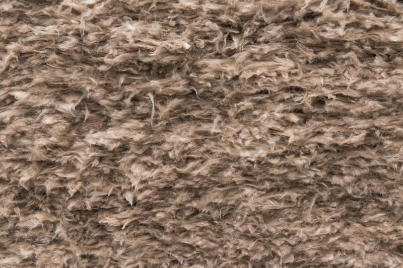 TeMo_RMIT_Det_Aus_Seiansifrtl_3000b