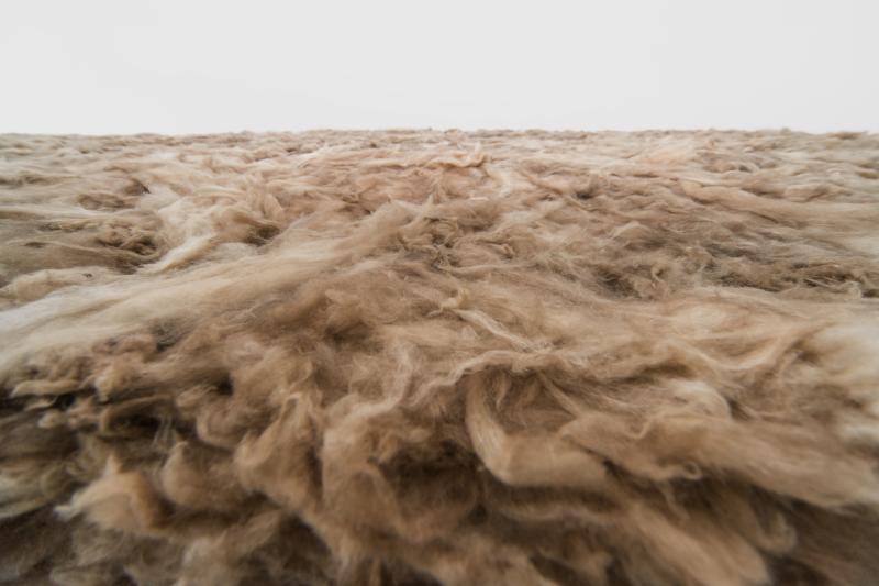 TeMo_RMIT_Det_ObseivschrgmKahi_3000b