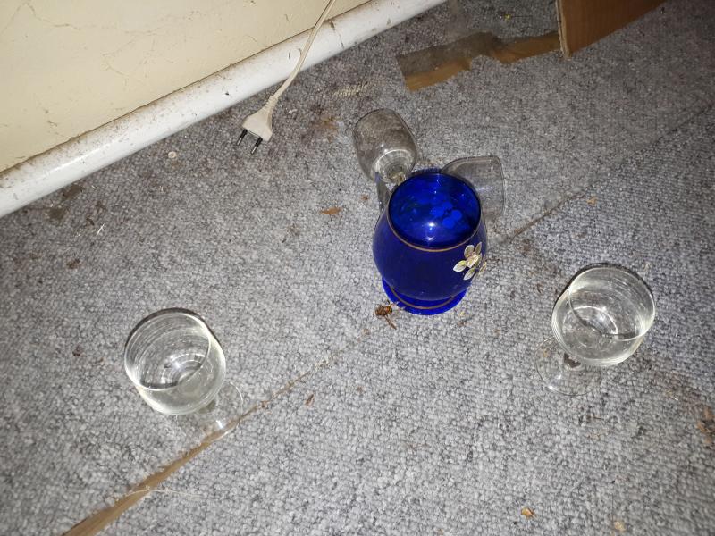 Elba_Dig_Det_Rep_20181215_160106_3000b