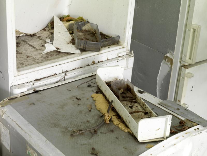 Depge_SkupaK_Det_schmuPlatei3000b