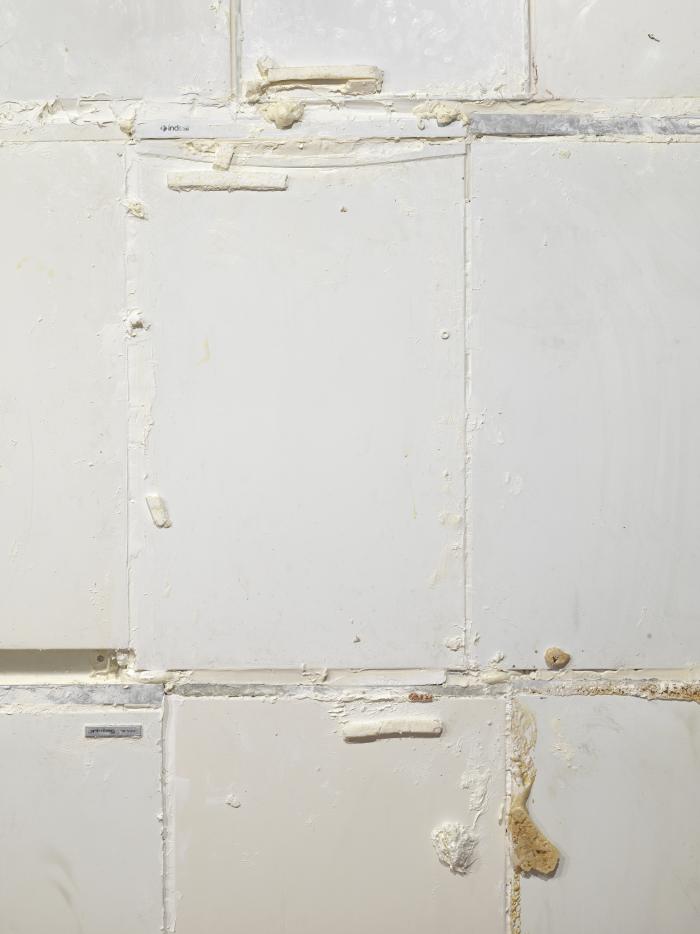 Tai_AdKH_Det_Aus_vvoInd