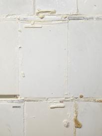 Tai_AdKH_Det_Aus_vvoInd