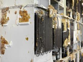 Tai_AdKH_Det_Aus_vhiseschrglimEck