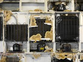 Tai_AdKH_Det_Aus_vhi3Kue