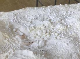 Fel_SchwVi_Det_Aus_3rosKaugu