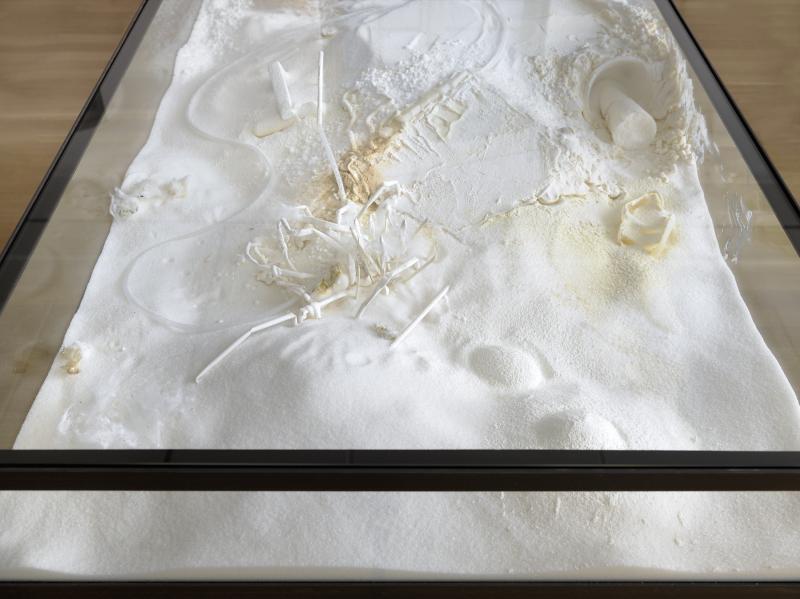 Fel_SchwVi_Det_VitmKegiHoe