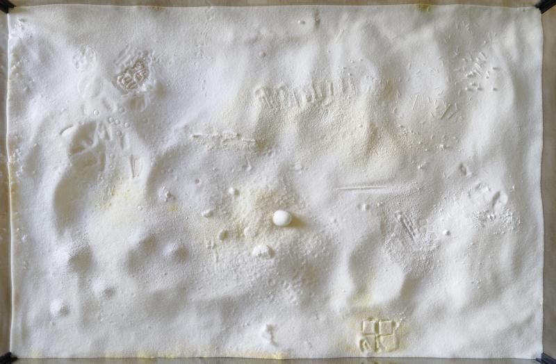 Fel_SchwVi_Det_Vitfrtlvob