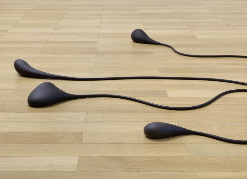 Mequa_SchwVi_Det_Sifo