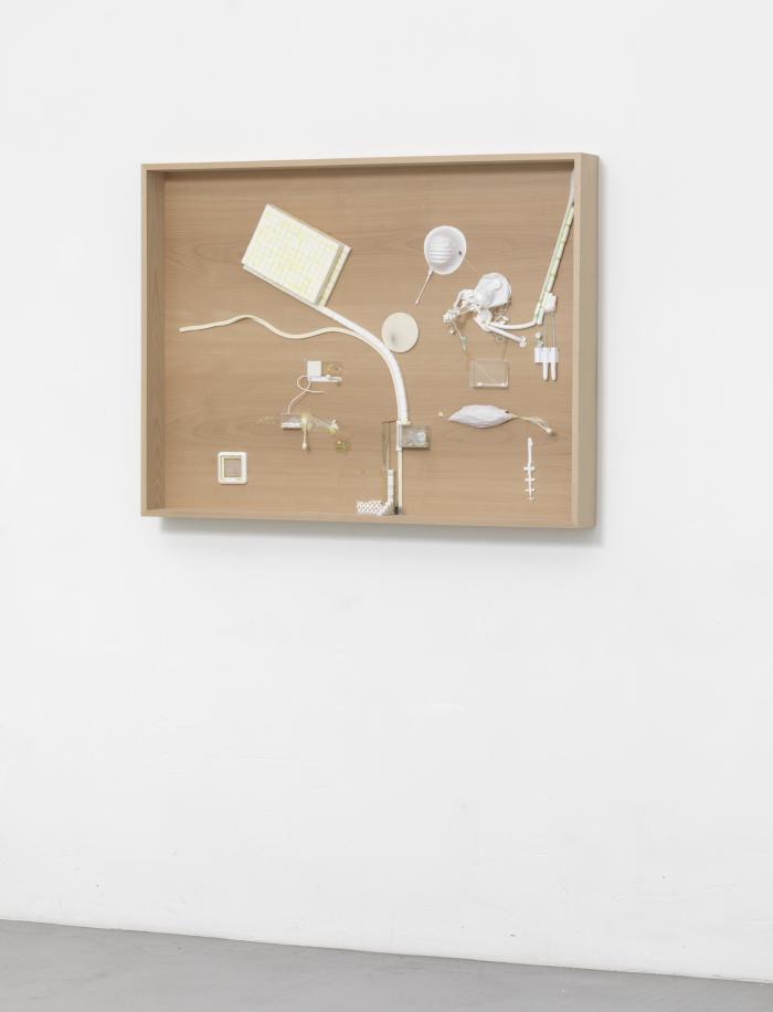 Dia4_Lie_Wa_Ra_vlschrgre_3000h