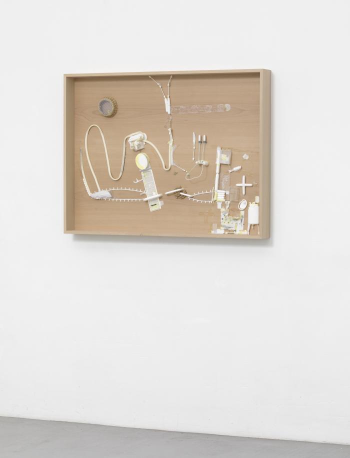 Dia6_Lie_Wa_Ra_vlschrgre_3000h