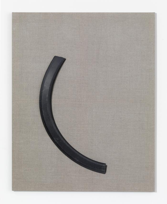 grBog_ScM_Ha1_Rep_vW_3000h