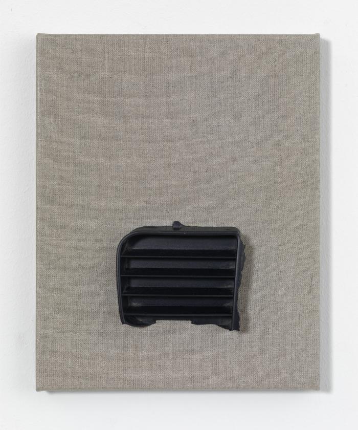 Mikuegrigschl_ScM_Ha1_Rep_vW_3000h