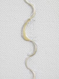 Finabldwei_HaW_Det_Aus_na_3000h