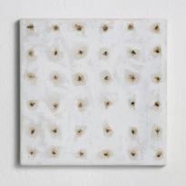 Flie_SJH_Ha1_Rep_vW_2400h