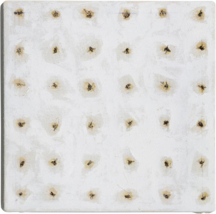 Flie_SJH_Ha1_Rep_fa_2400h