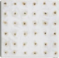 Flie_SJH_Ha1_Rep_fa_2400h