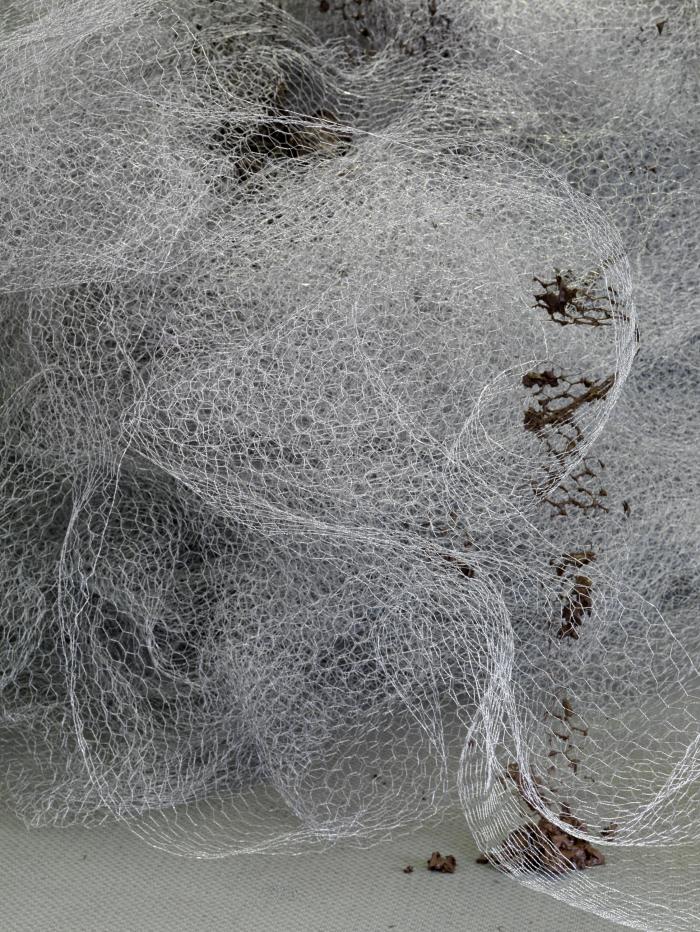 Drawo_KhMh_Det_wenNutmBo_3000h