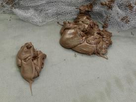 Drawo_KhMh_Det_2Kle_3000b