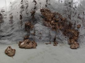 Drawo_KhMh_Det_2Kleli_3000b