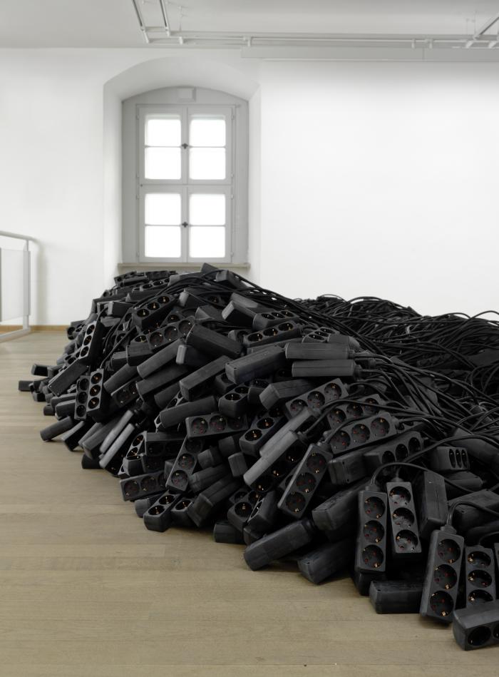 Steckschwa_StdGalWo_Det_Hau_3000h