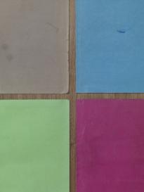 Mapp2_Lie_Det_Aus_3000h